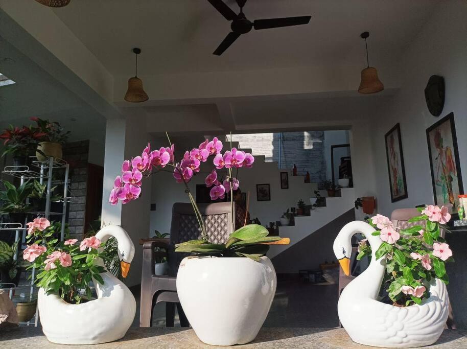 Almond Villa Find Your Paradise Alībāg Exteriör bild